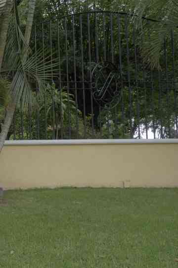 significantes, cuatro de cinco Poster