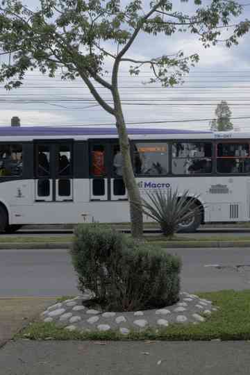 significantes, cinco de cinco Poster