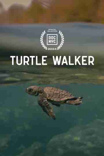 Turtle Walker Poster