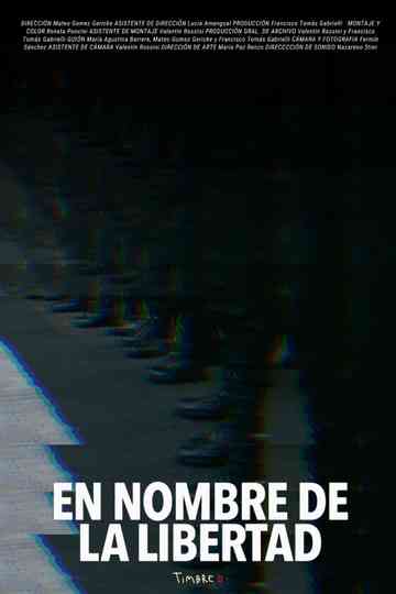 In the Name of Liberty Poster