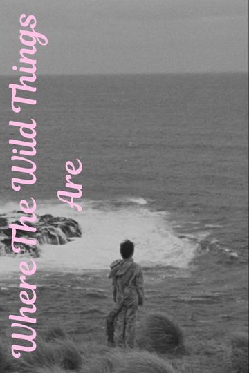 Where The Wild Things Are