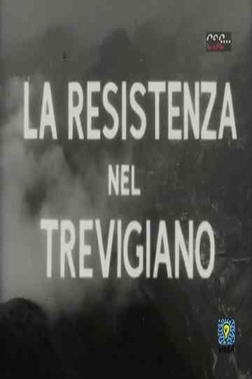 La resistenza nel Trevigiano Poster