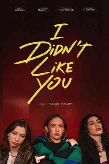 I Didn't Like You Poster