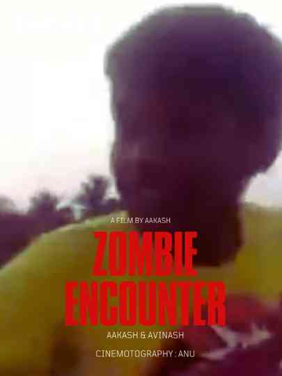 Zombie Encounter Poster