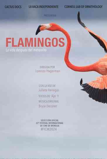 Flamingos Poster