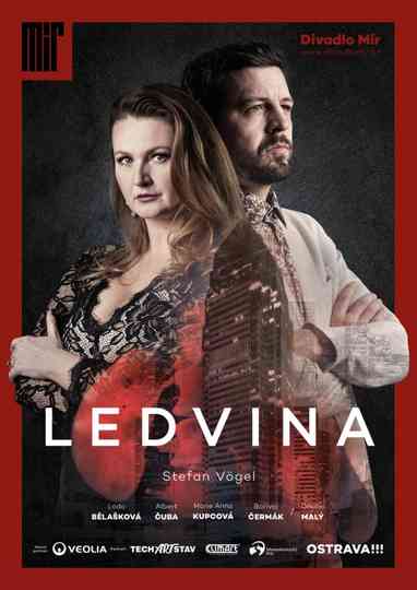 Ledvina Poster