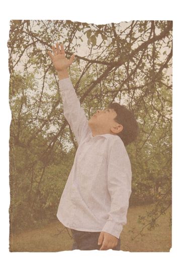 Shadows of Yugoslavia