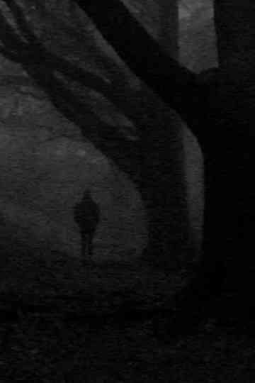 The Horse's Mane Poster