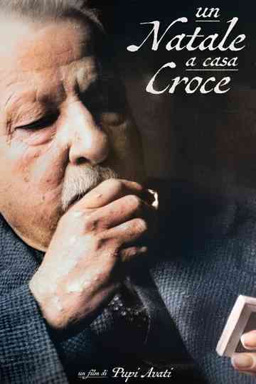 Un Natale a casa Croce Poster