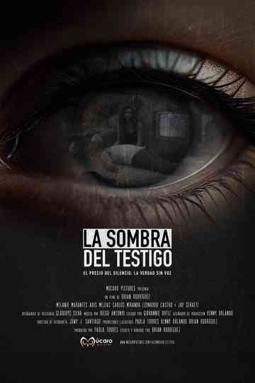 The Shadow of the Witness Poster