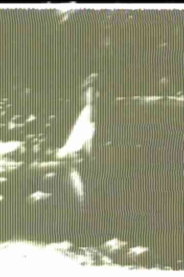 When the Plug is Pulled Out and the Set is Cold Poster