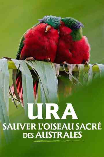 Ura, sauver l'oiseau sacré des australes