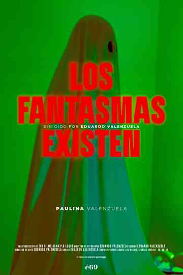Los fantasmas existen poster