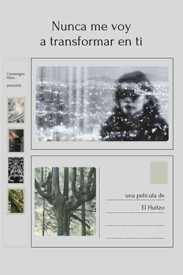 I will never transform into you Poster