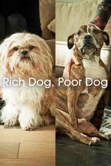 Rich Dog, Poor Dog Poster