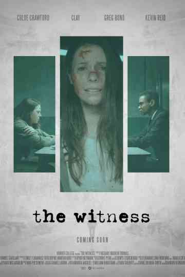 The Witness Poster