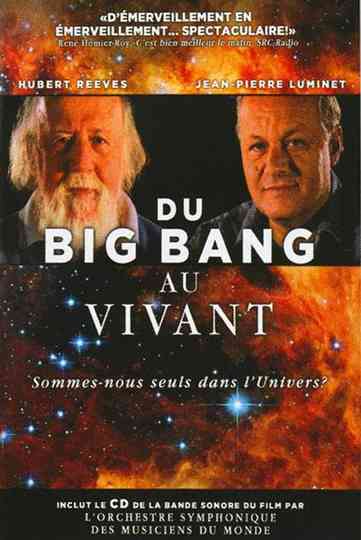 Du Big Bang au vivant poster