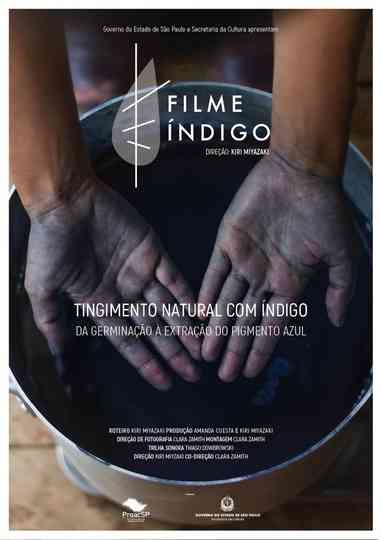 Tingimento Natural com Índigo: Da Germinação À Extração do Pigmento Azul Poster