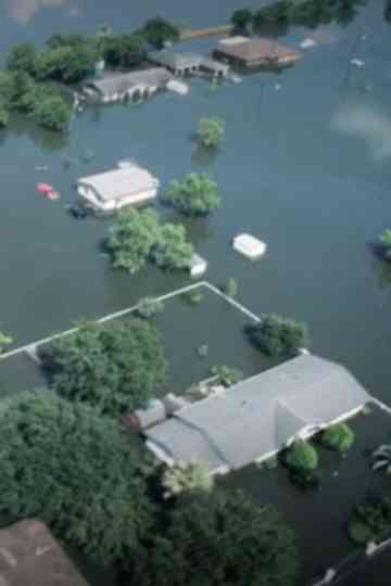 Into the Deluge Poster