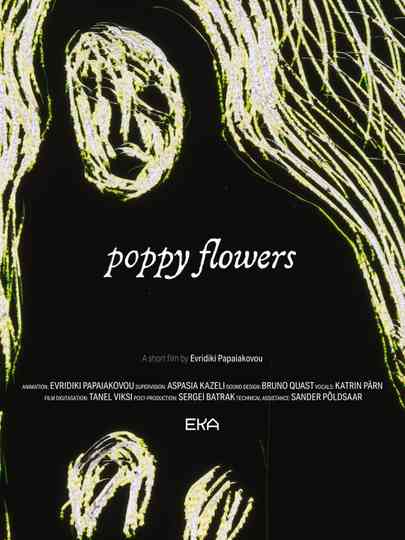 Poppy Flowers Poster