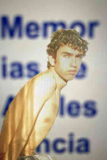 Memories Of Adolescence Poster