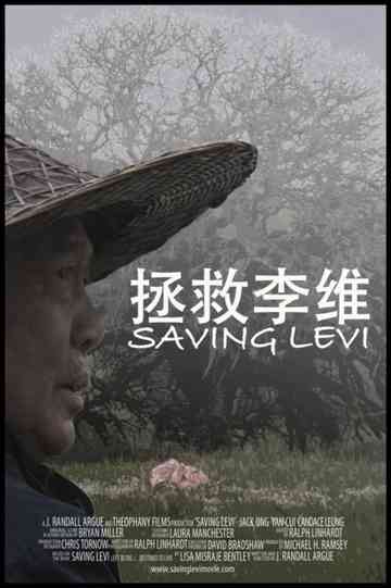 Saving Levi Poster