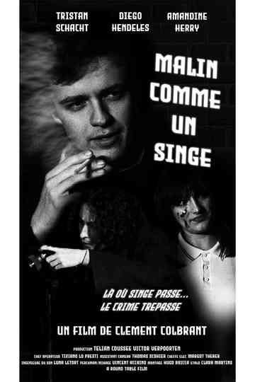 Malin comme un singe Poster