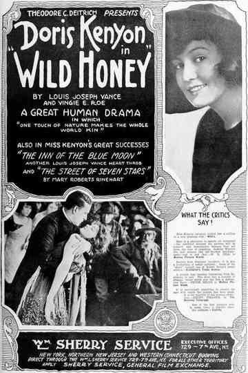 Wild Honey Poster