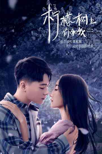 Falling in Love Poster