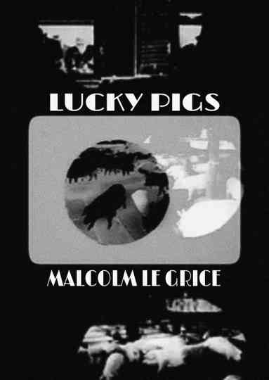 Lucky Pigs Poster