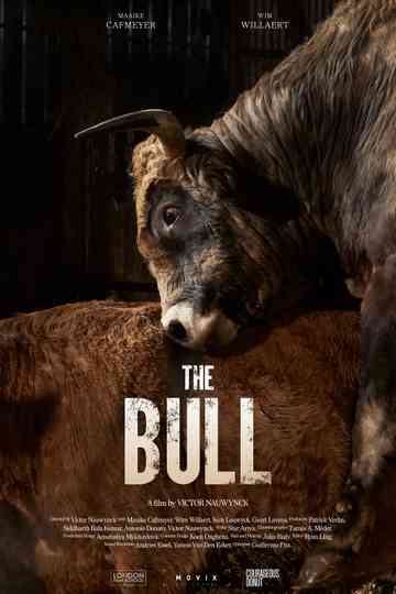 The Bull Poster