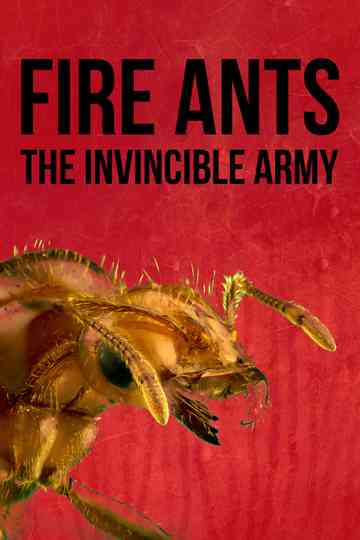Fire Ants 3D The Invincible Army poster