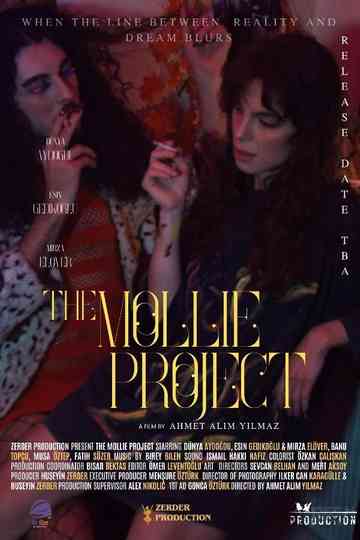The Mollie Project Poster