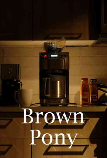Brown Pony Poster