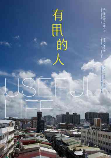 Useful Life Poster