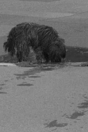 Puddles, I Don't Know Poster