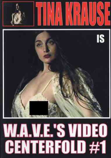 Video Centerfold #1: Tina Krause Poster
