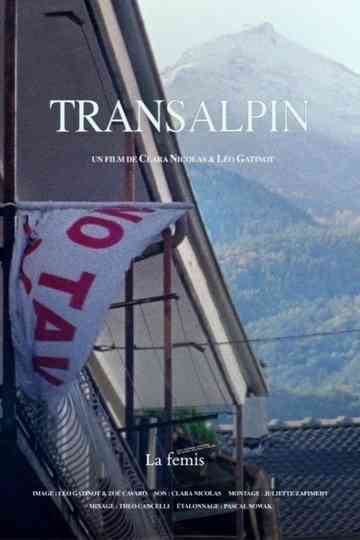 Transalpin Poster