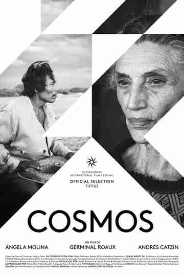 Cosmos Poster