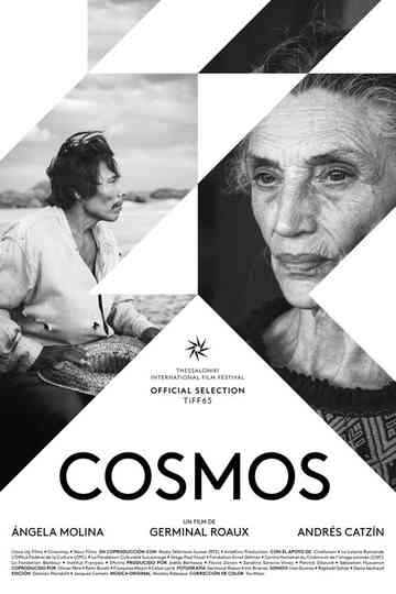 Cosmos Poster