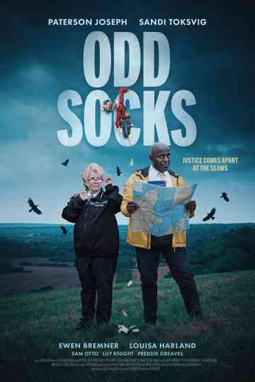 Odd Socks Poster