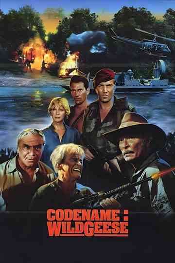 Code Name: Wild Geese Poster