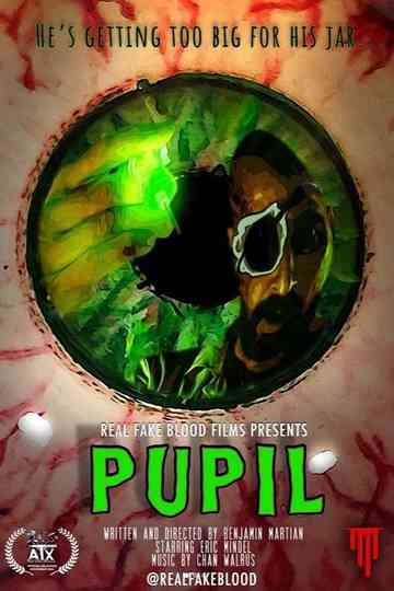 Pupil Poster