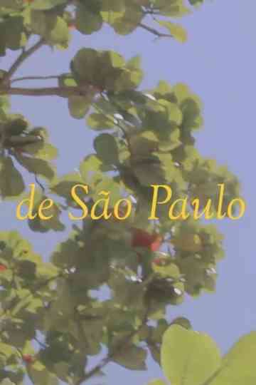 News from São Paulo Poster