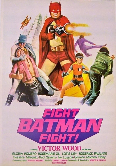 Fight Batman Fight