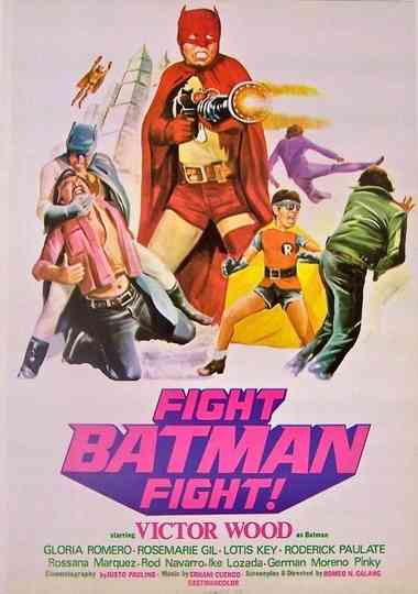 Fight Batman Fight Poster