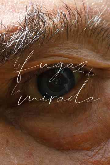 Lo fugaz de la mirada Poster