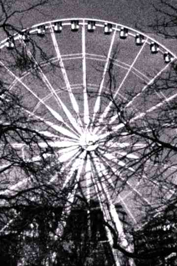 Rad und Zweige Poster