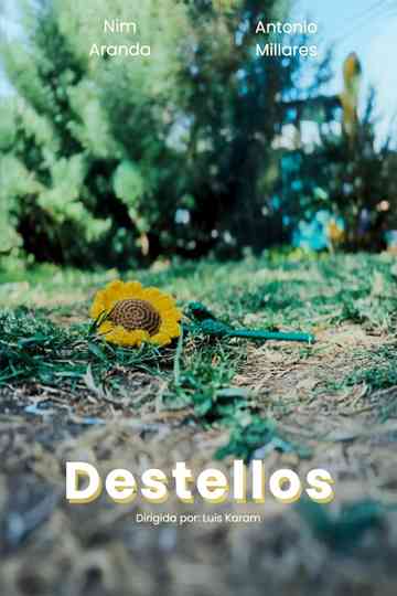 Destellos Poster