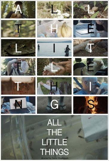 All the Little Things